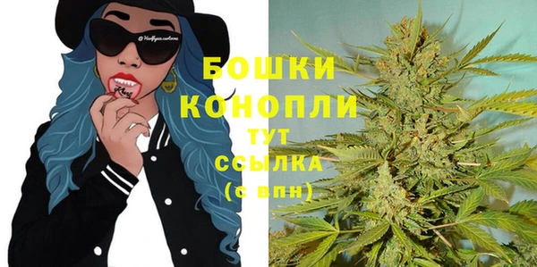 прущий лед Вязьма