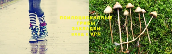 прущий лед Вязники