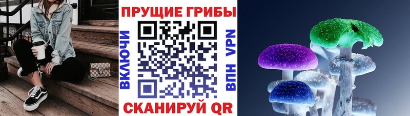 купить   Чернушка  Галлюциногенные грибы мицелий 