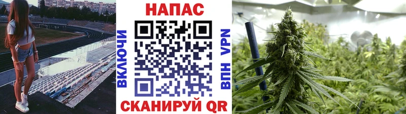 Канабис THC 21%  продажа наркотиков  Чернушка 